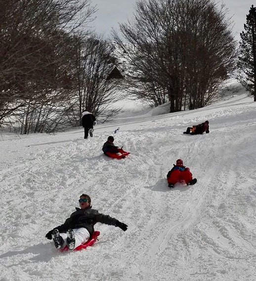 Actividades en el Pirineo. Raquetas y trineos